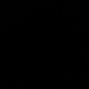 Meet your Posher, Brendan